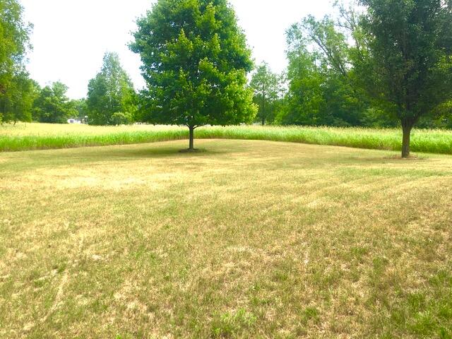 11544 Pierce Road Stanwood, MI 49346 - Photo 28 of 28 IMG_3597