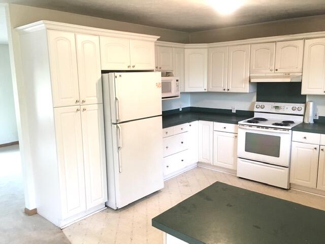 11544 Pierce Road Stanwood, MI 49346 - Photo 5 of 28 IMG_3573