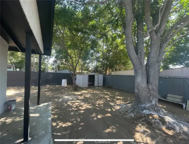 a view of a yard with large tree