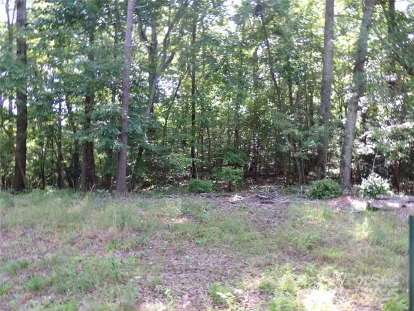 $9,000 | 126 Chapel Hill Drive, Unit 1118, Troy, NC 27371