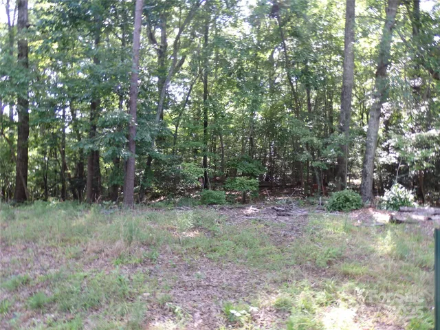 a view of outdoor space and green space