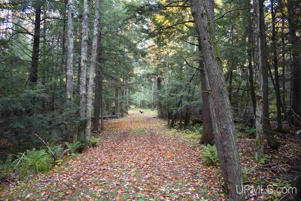 9-acres Deerton Road Deerton, MI 49822 - Photo 26 of 37 Gallery Image 26