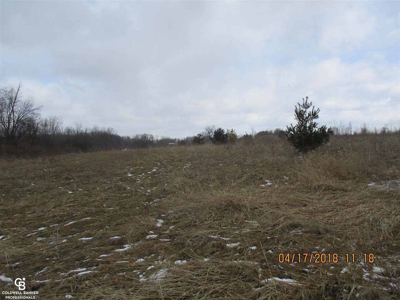 0 Arendt Road Yale, MI 48097 - Photo 7 of 11