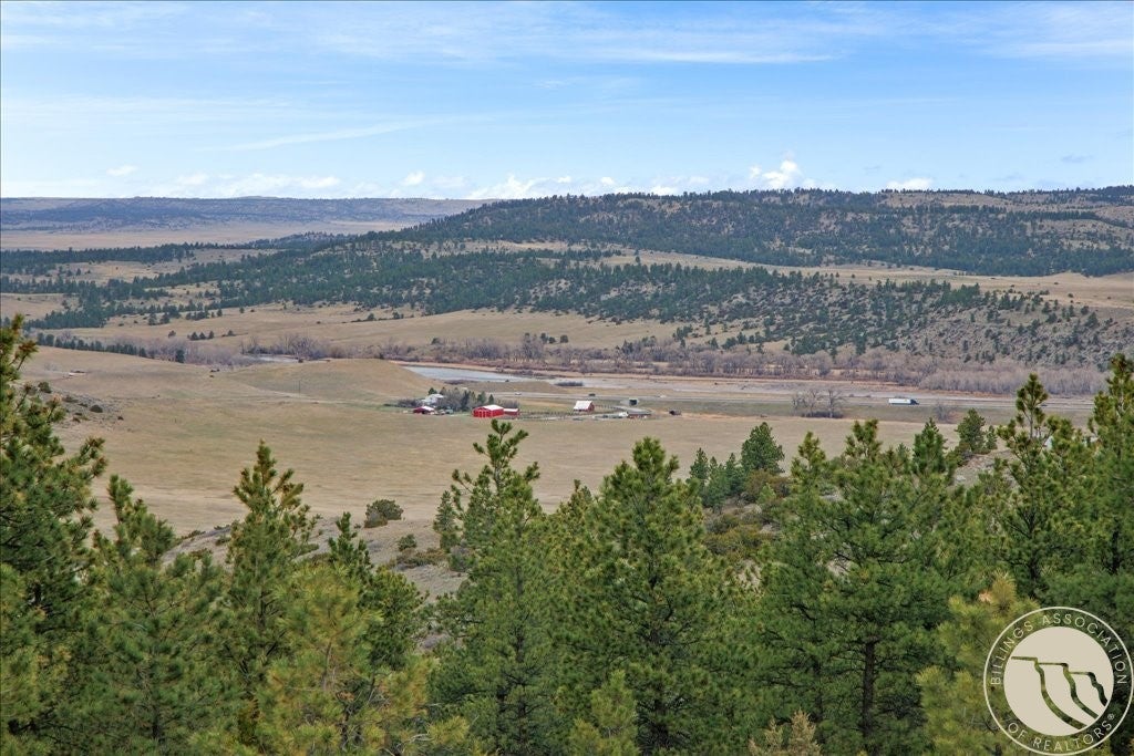 126 Nighthawk Road Reed Point, MT 59069 - Photo 10 of 35 Gallery Image 10