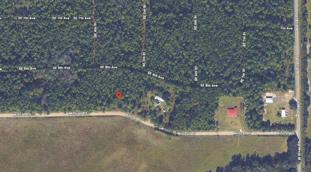 132 Millican Road Palatka, FL 32177 - Photo 3 of 3