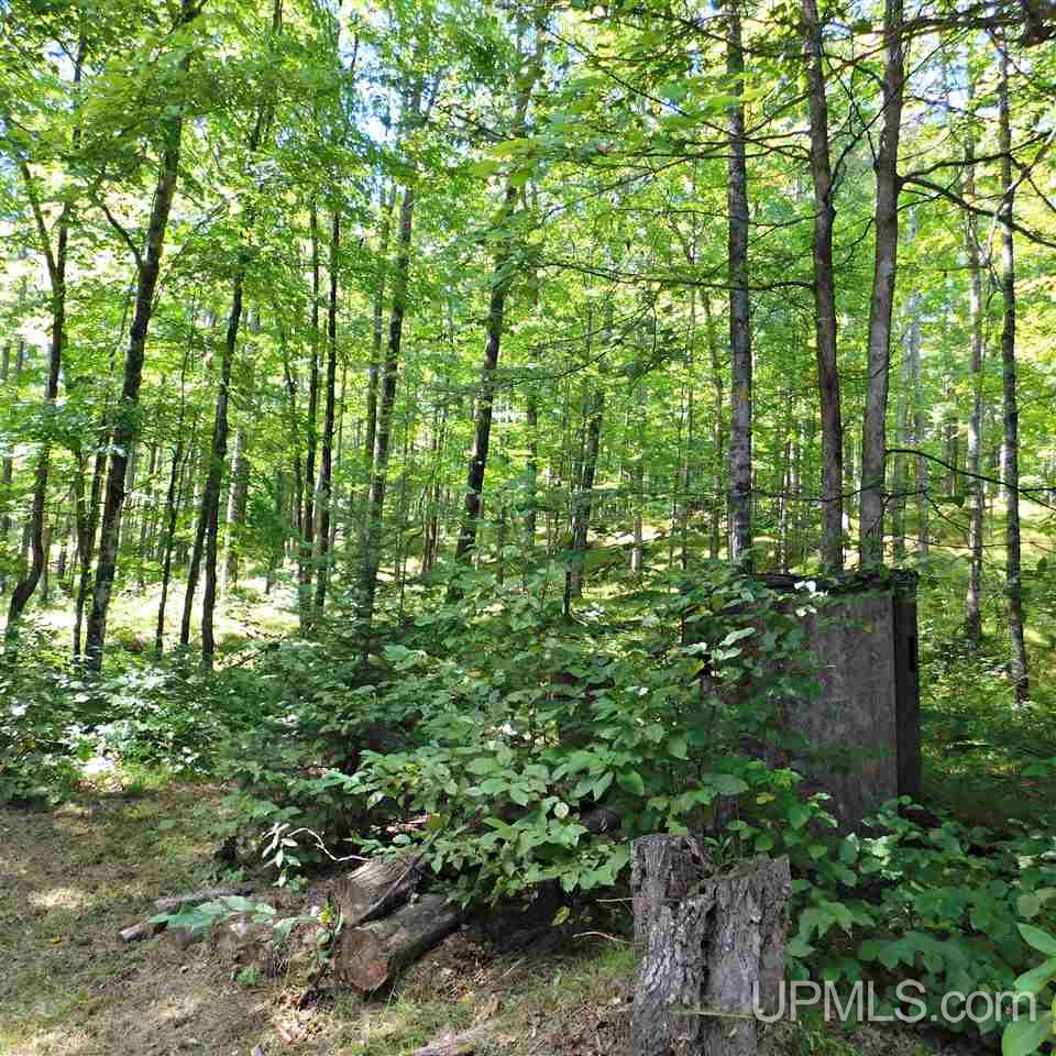 5100 Unnamed Woods Road Osseo, MI 54758 - Photo 31 of 33