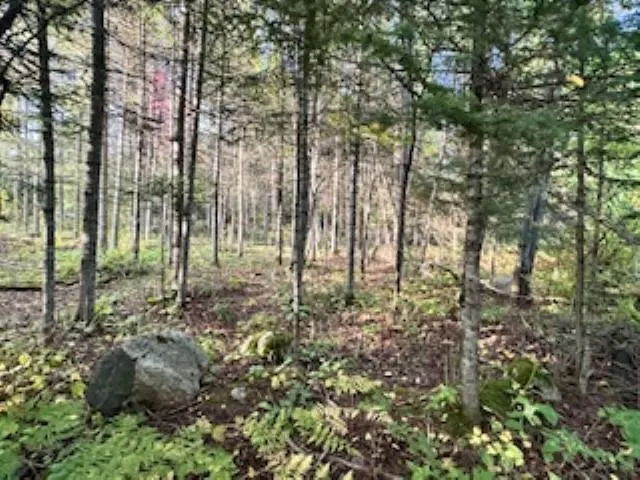 $375,000 | 7345 Rahkola Road, Embarrass, MN 55732