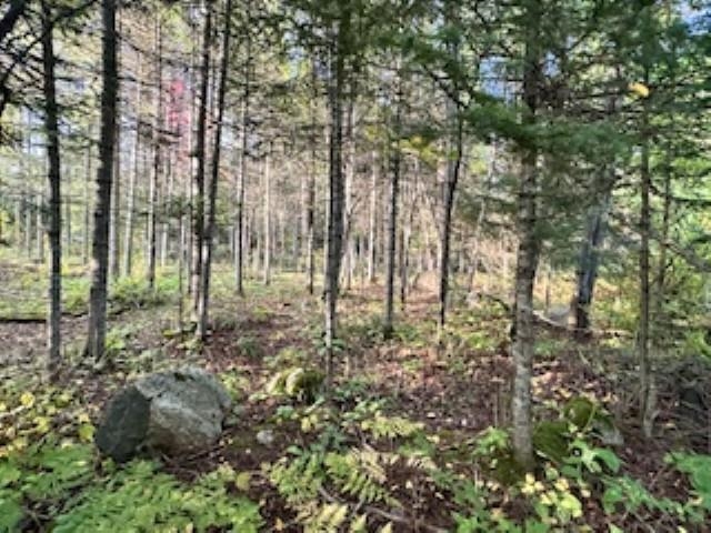 7345 Rahkola Road Embarrass, MN 55732 - Photo 22 of 57 View of wooded area
