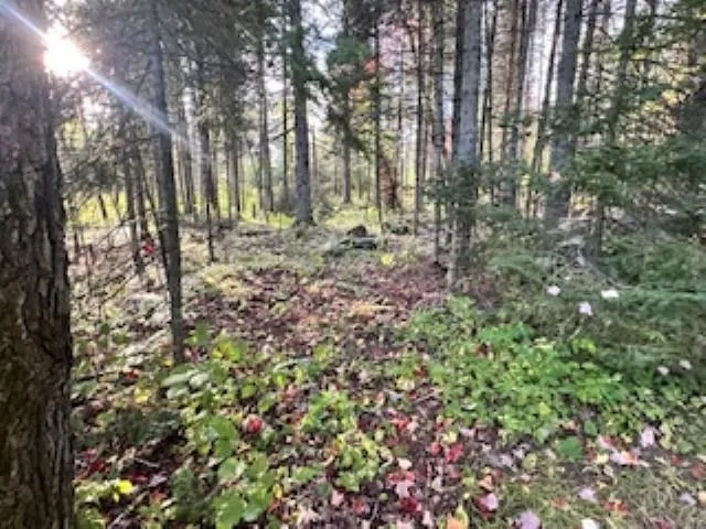 $375,000 | 7345 Rahkola Road, Embarrass, MN 55732