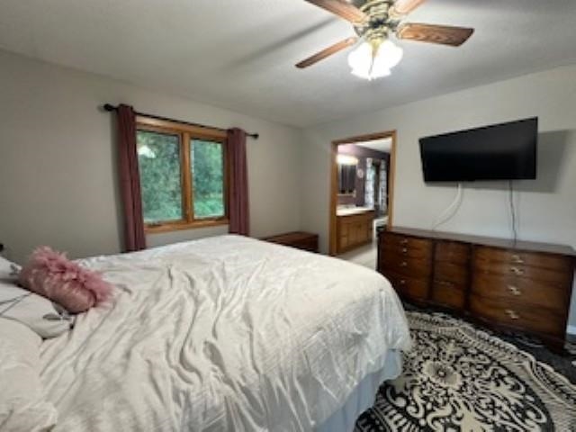 7345 Rahkola Road Embarrass, MN 55732 - Photo 26 of 57 Bedroom featuring ceiling fan and connected bathroom