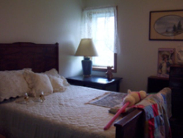16302 West Dorembus Road Trivoli, IL 61569 - Photo 6 of 9