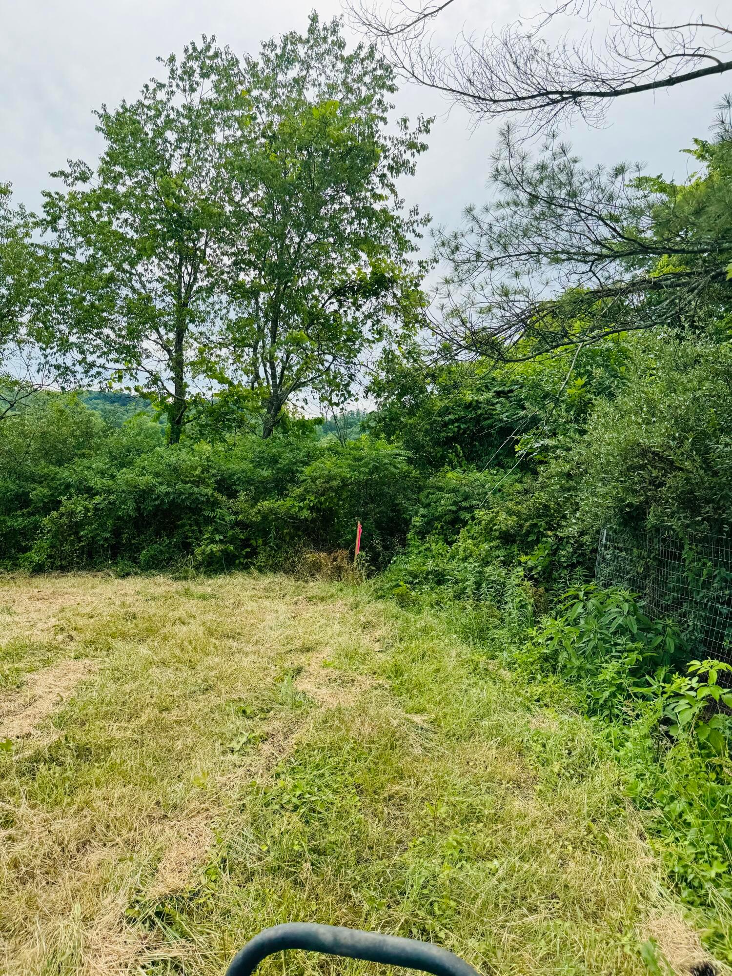37416 New Lima Road, Unit 2 251 ACRES Rutland, OH 45775 - Photo 6 of 11 marker at front of tract 2 to right as y