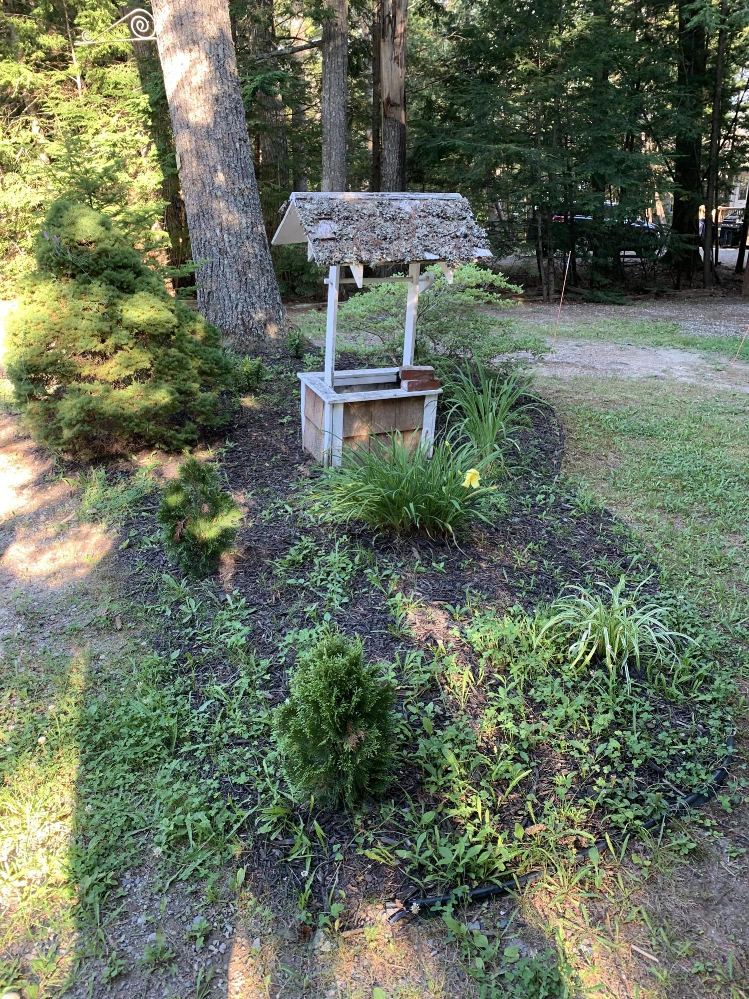 503 Point Road Ellsworth, ME 04605 - Photo 13 of 34 IMG_6145