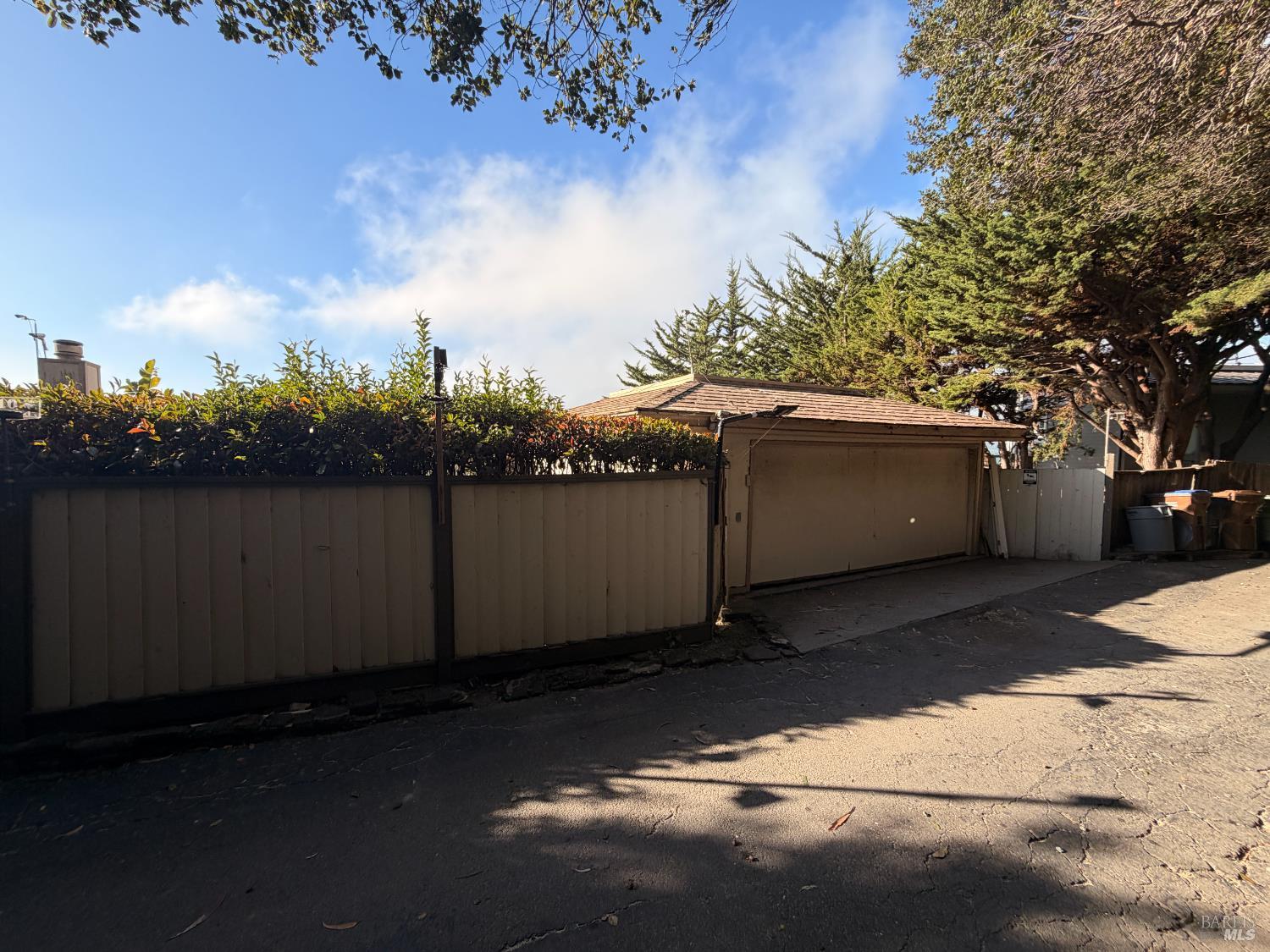 10 Cliff Road Belvedere, CA 94920 - Photo 5 of 8 a view of a backyard