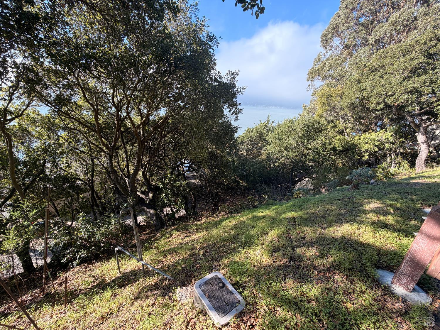 10 Cliff Road Belvedere, CA 94920 - Photo 7 of 8 a view of a yard
