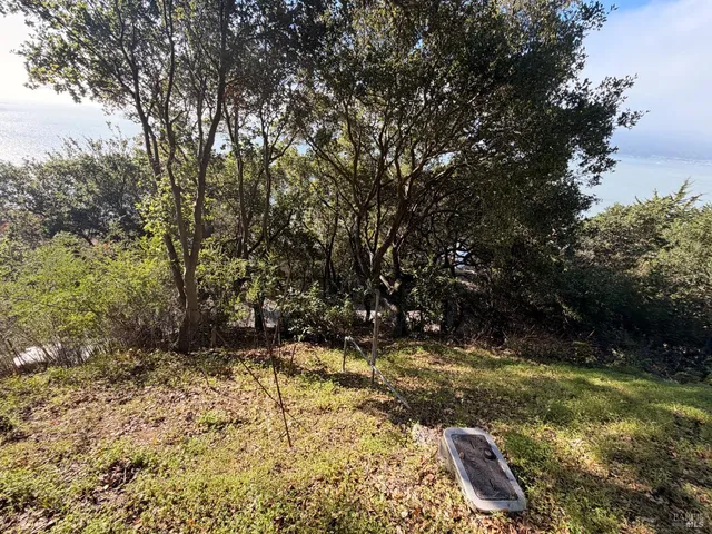 a view of backyard with green space