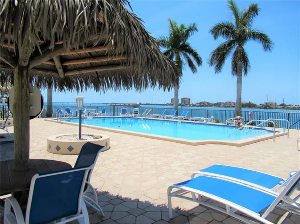 a view of a swimming pool with a lawn chairs under palm trees