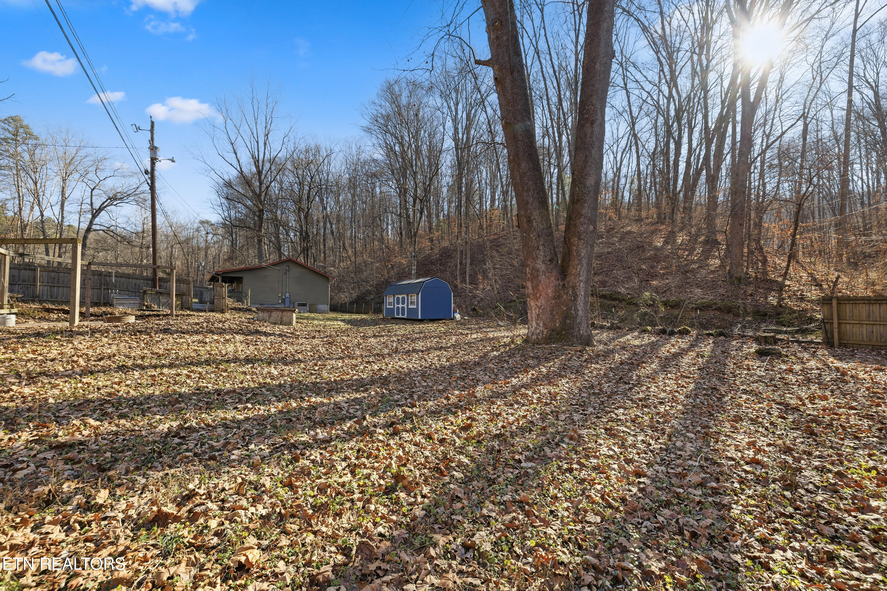3214 Long Hollow Road Powell, TN 37849 - Photo 19 of 23 Side Yard