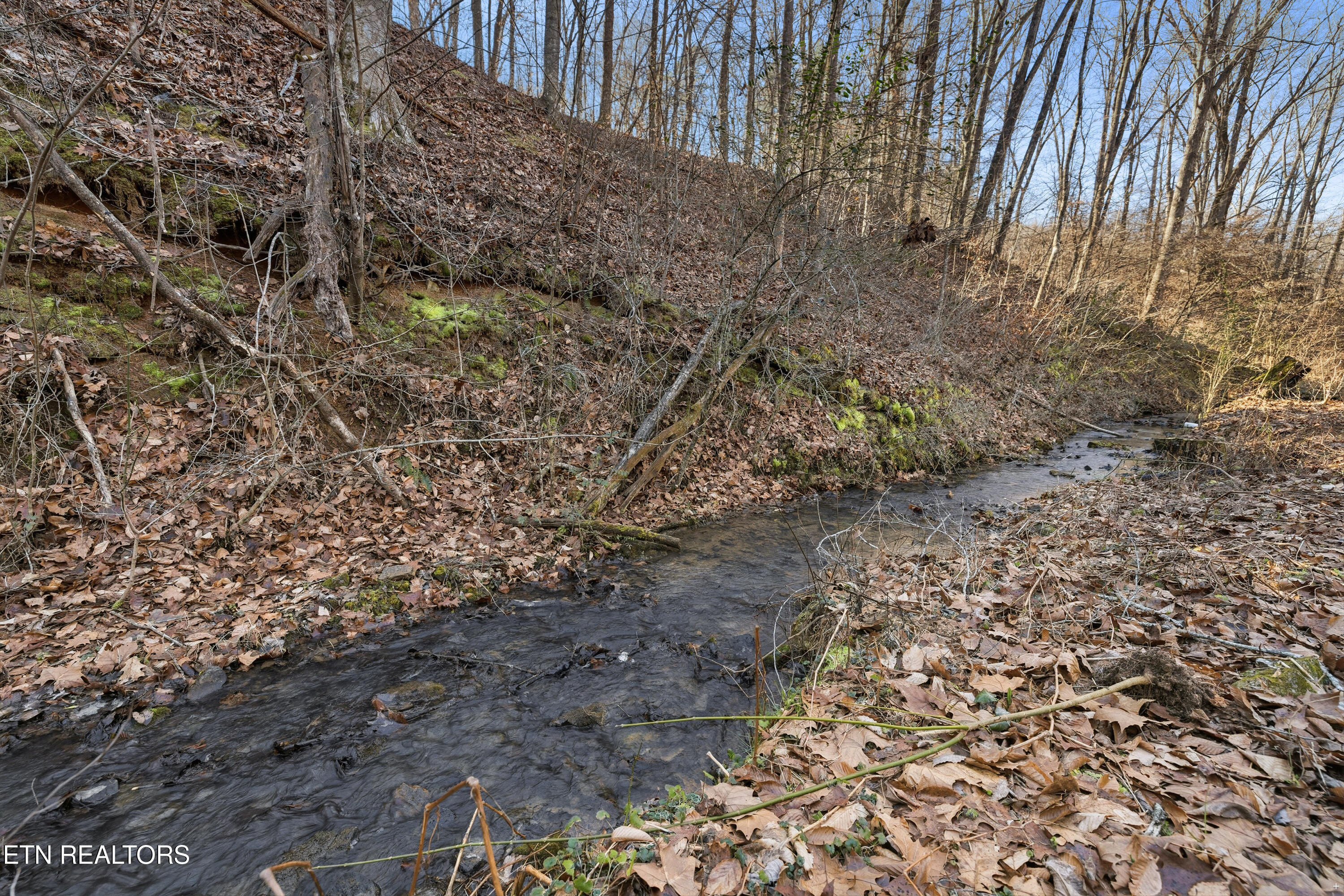 3214 Long Hollow Road Powell, TN 37849 - Photo 23 of 23 Small Creek