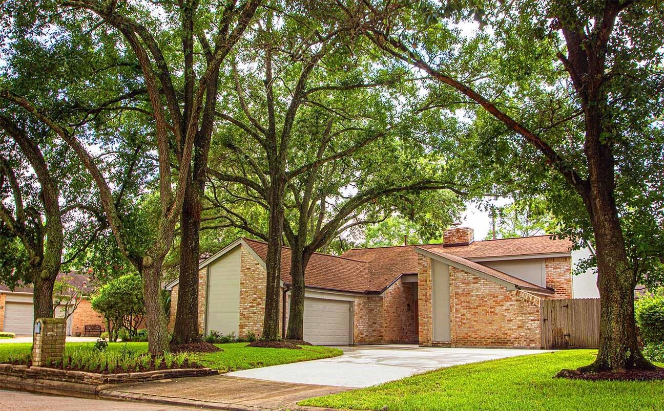 a view of a backyard with large trees