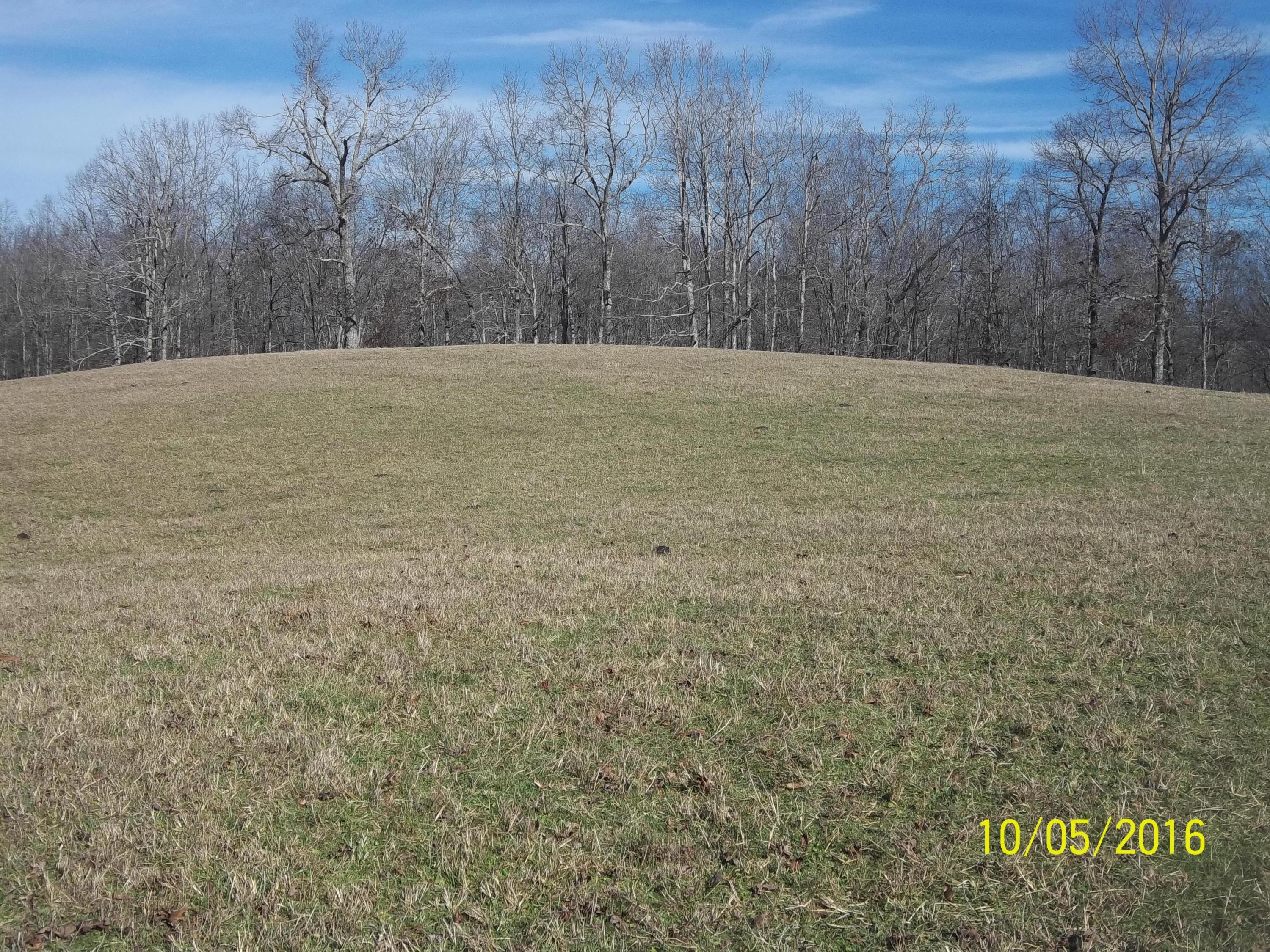 219 Taylor Jack Road Sunbright, TN 37872 - Photo 22 of 40 100_0997