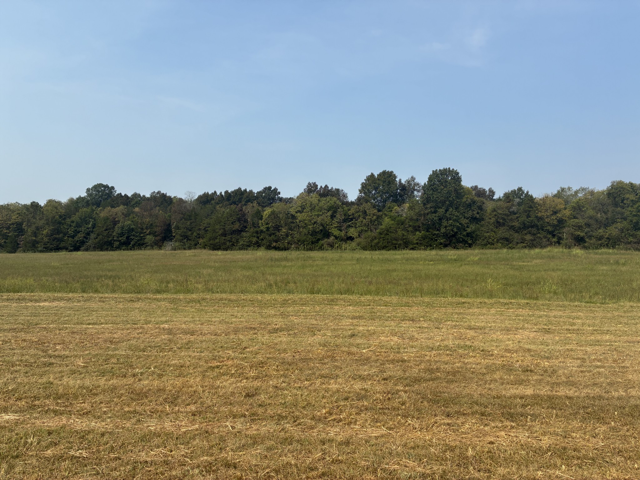 5553 Thick Road Chapel Hill, TN 37034 - Photo 2 of 6 a view of a lake view