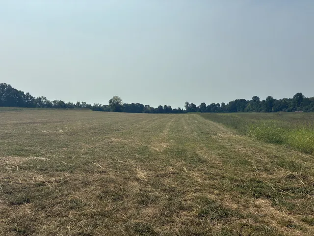 a view of a lake with houses in background