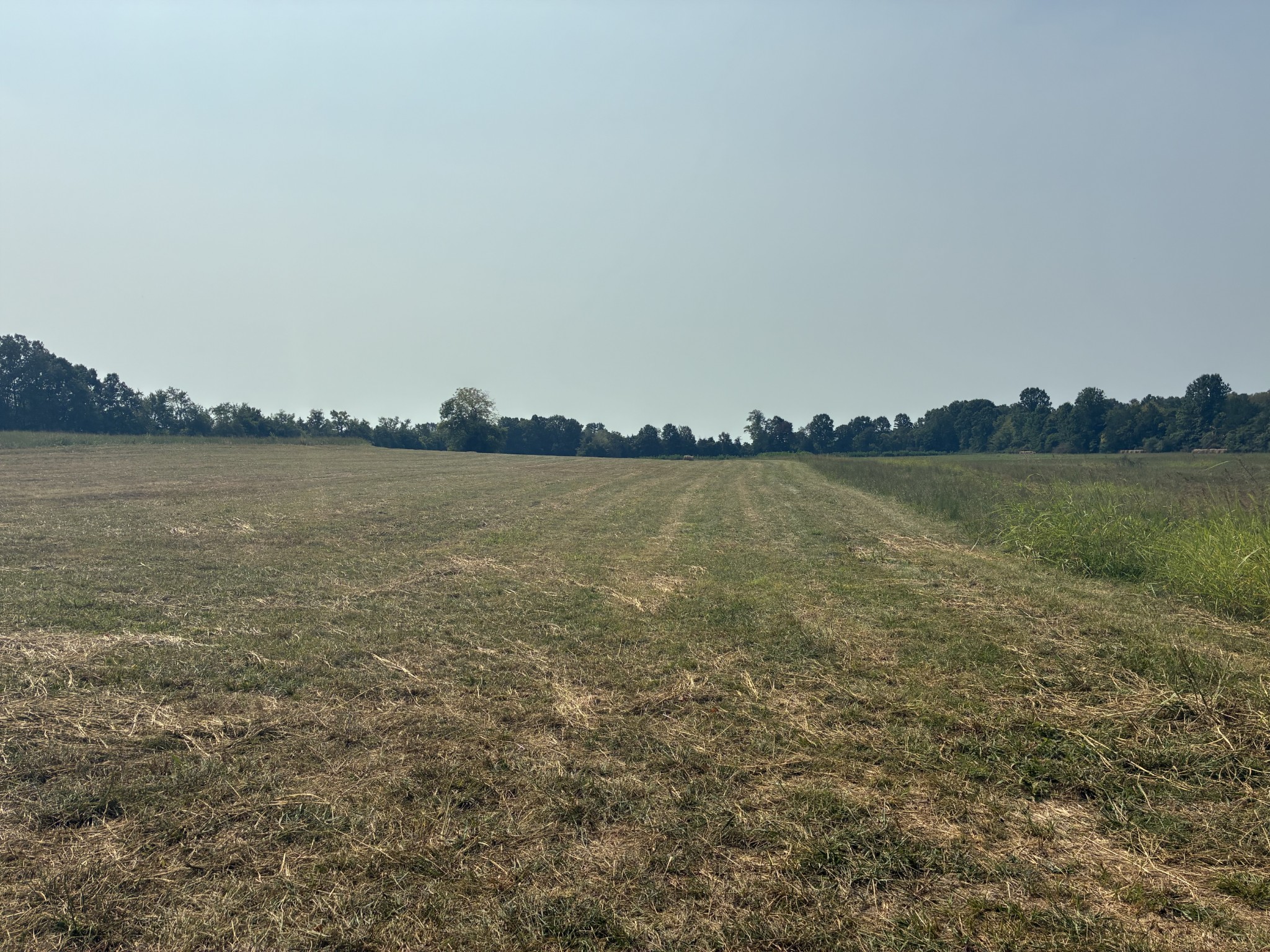 5553 Thick Road Chapel Hill, TN 37034 - Photo 3 of 6 a view of a lake with houses in background