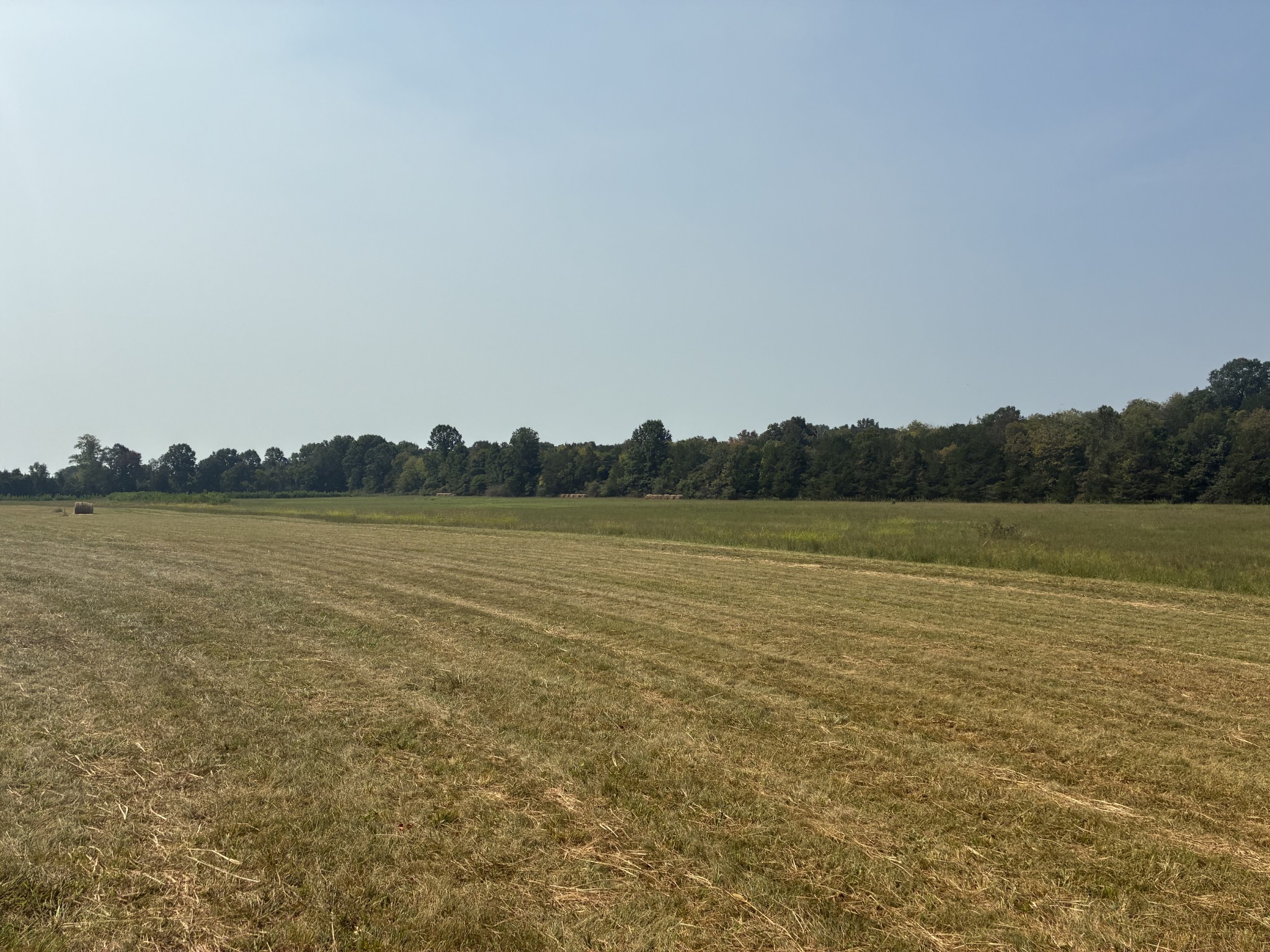 5553 Thick Road Chapel Hill, TN 37034 - Photo 4 of 6 a view of lake and mountain