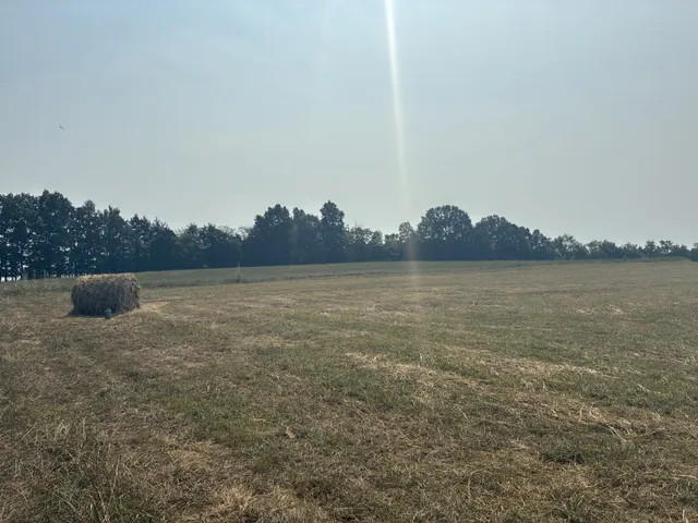 a view of a lake with houses in background