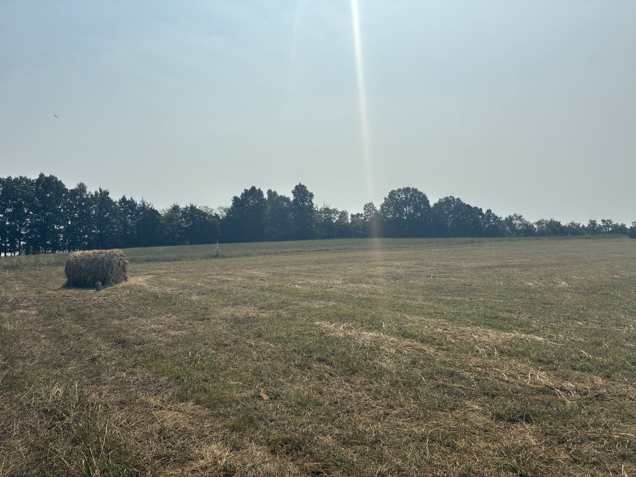 5553 Thick Road Chapel Hill, TN 37034 - Photo 6 of 6 a view of a lake with houses in background
