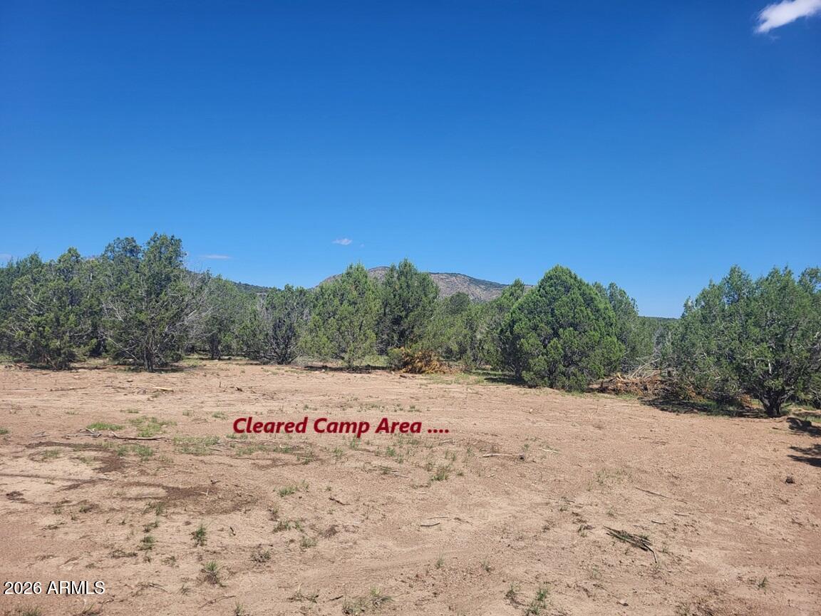 107 North A N Ranch Road, Unit 107A Williams, AZ 86046 - Photo 8 of 18 a view of outdoor space with trees