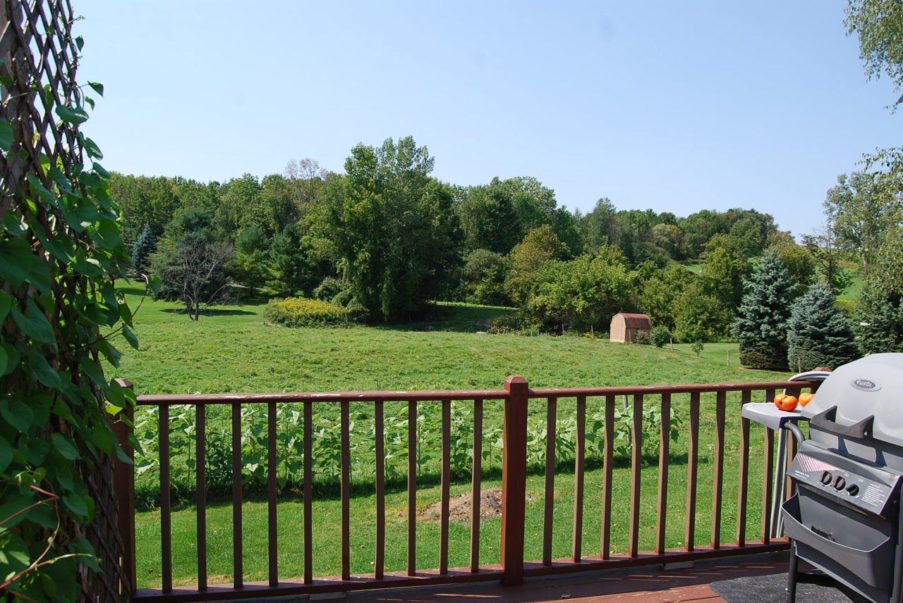1125 Sandmill Road Cheshire, MA 01225 - Photo 5 of 17 view from back porch