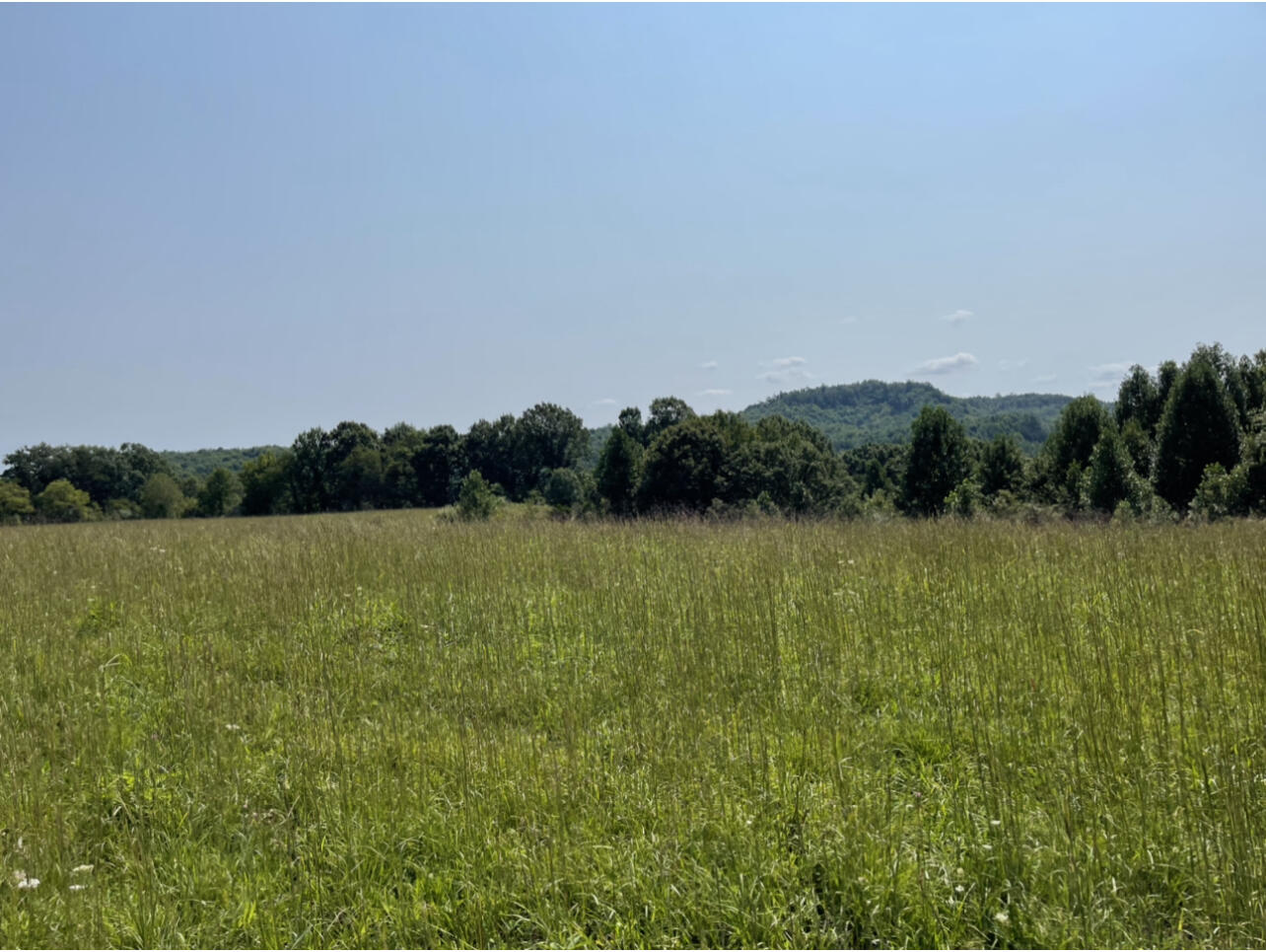 0 Lloyd Hollow Road, Unit TRACT #1 Corbin, KY 40701 - Photo 5 of 9 03CA8DE2-B27C-4C08-B646-ADB2C4D84BC8