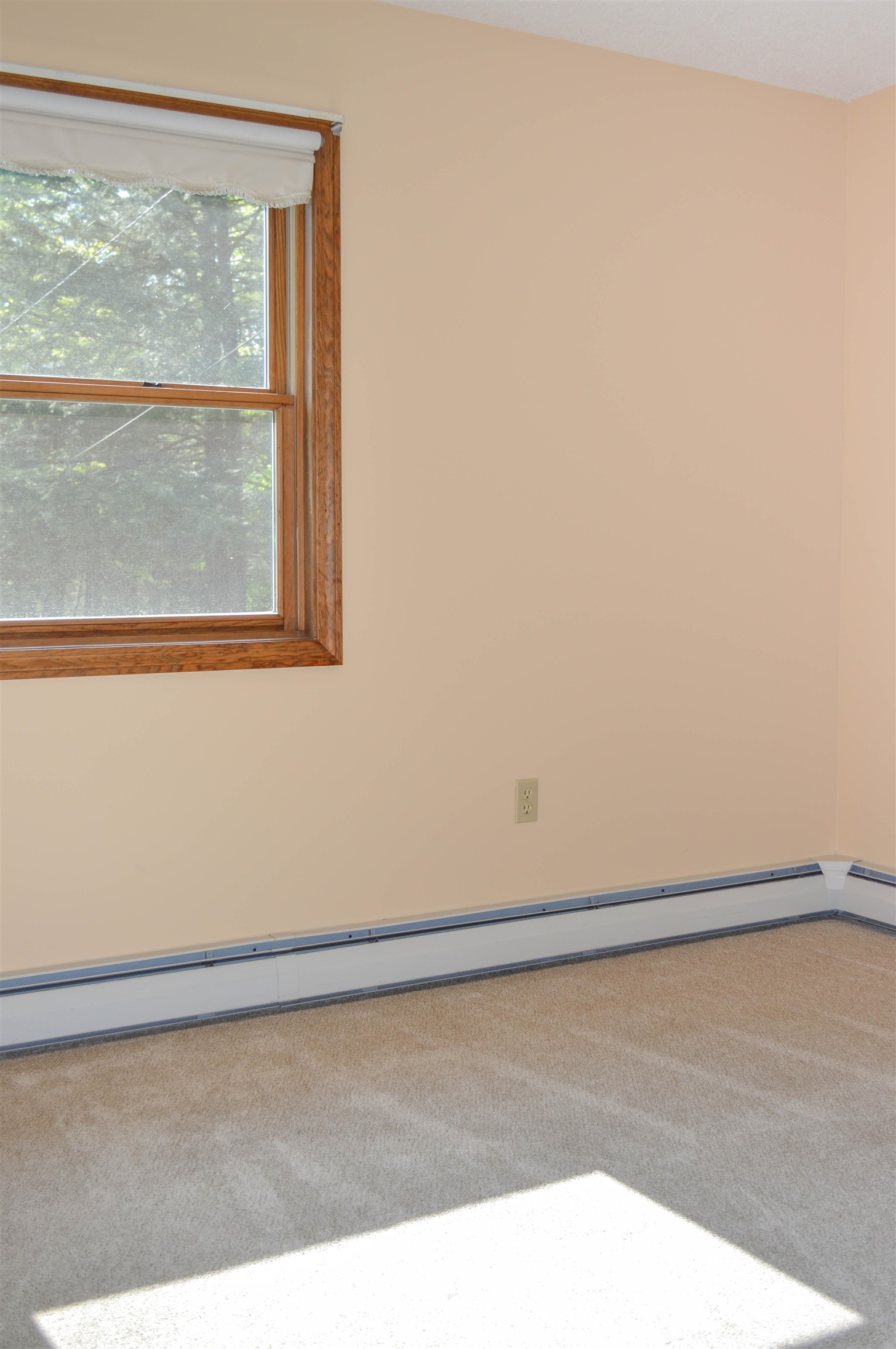 135 Shedd Hill Road Stoddard, NH 03464 - Photo 17 of 36