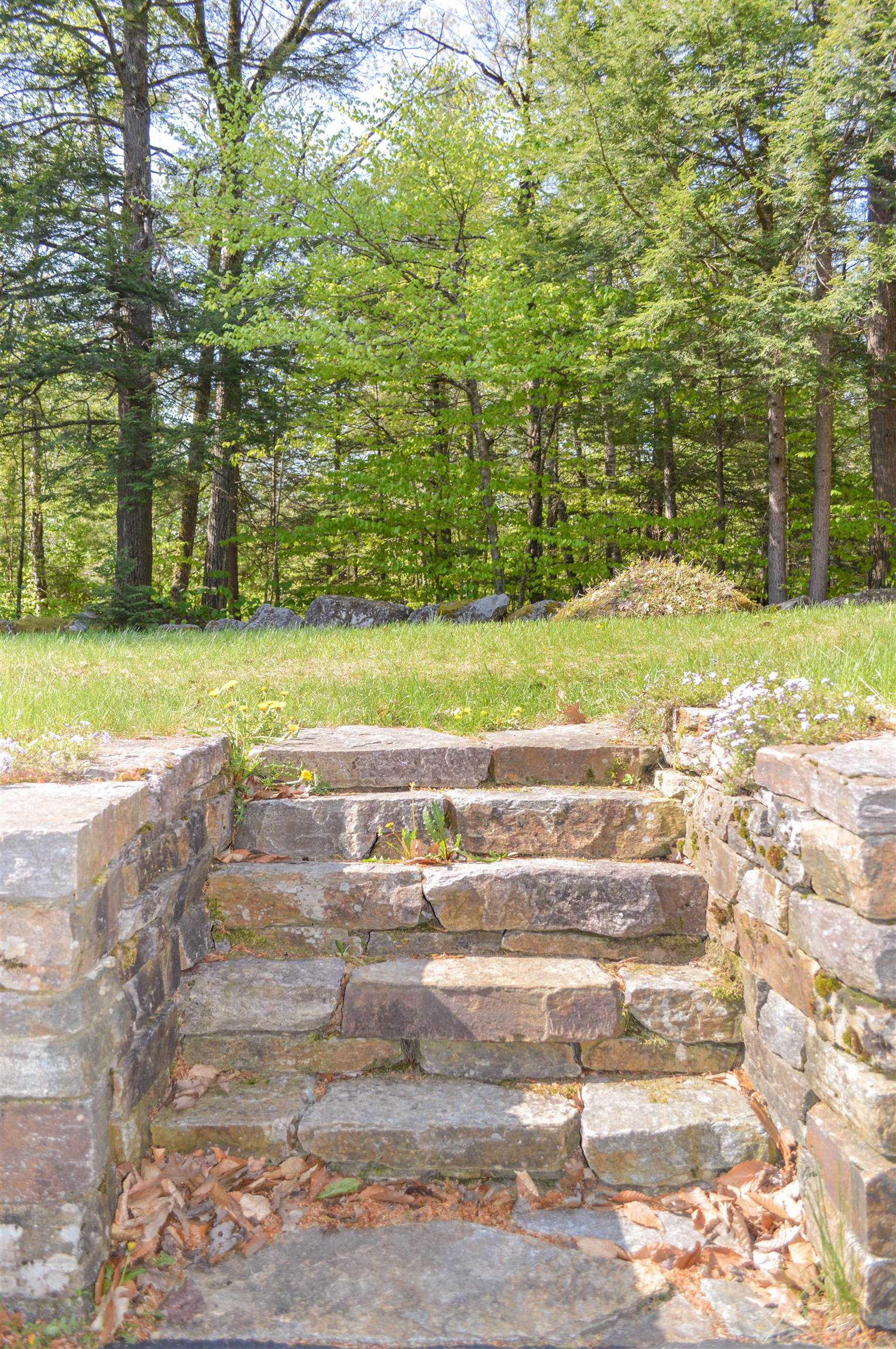 135 Shedd Hill Road Stoddard, NH 03464 - Photo 28 of 36