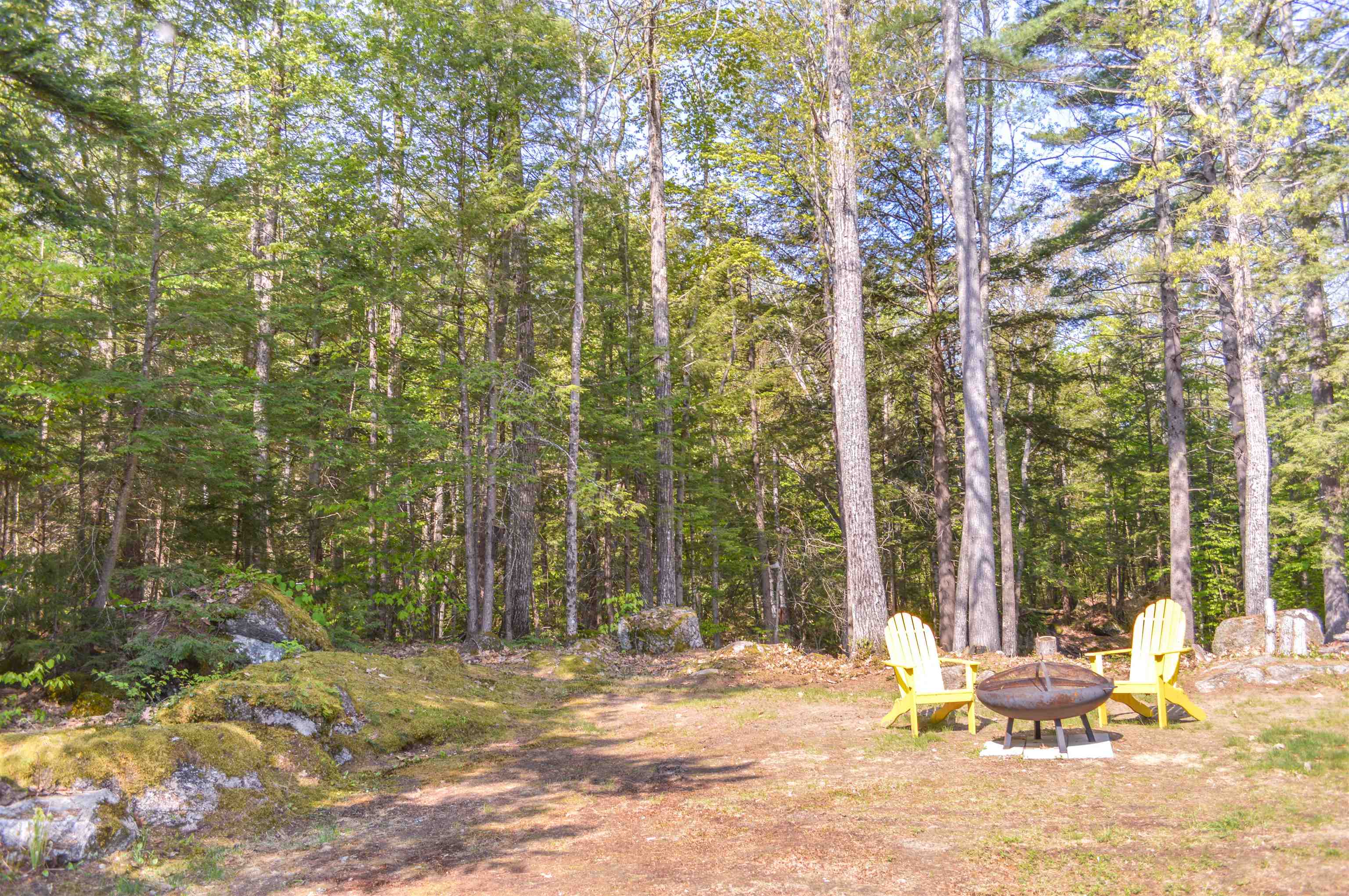 135 Shedd Hill Road Stoddard, NH 03464 - Photo 30 of 36