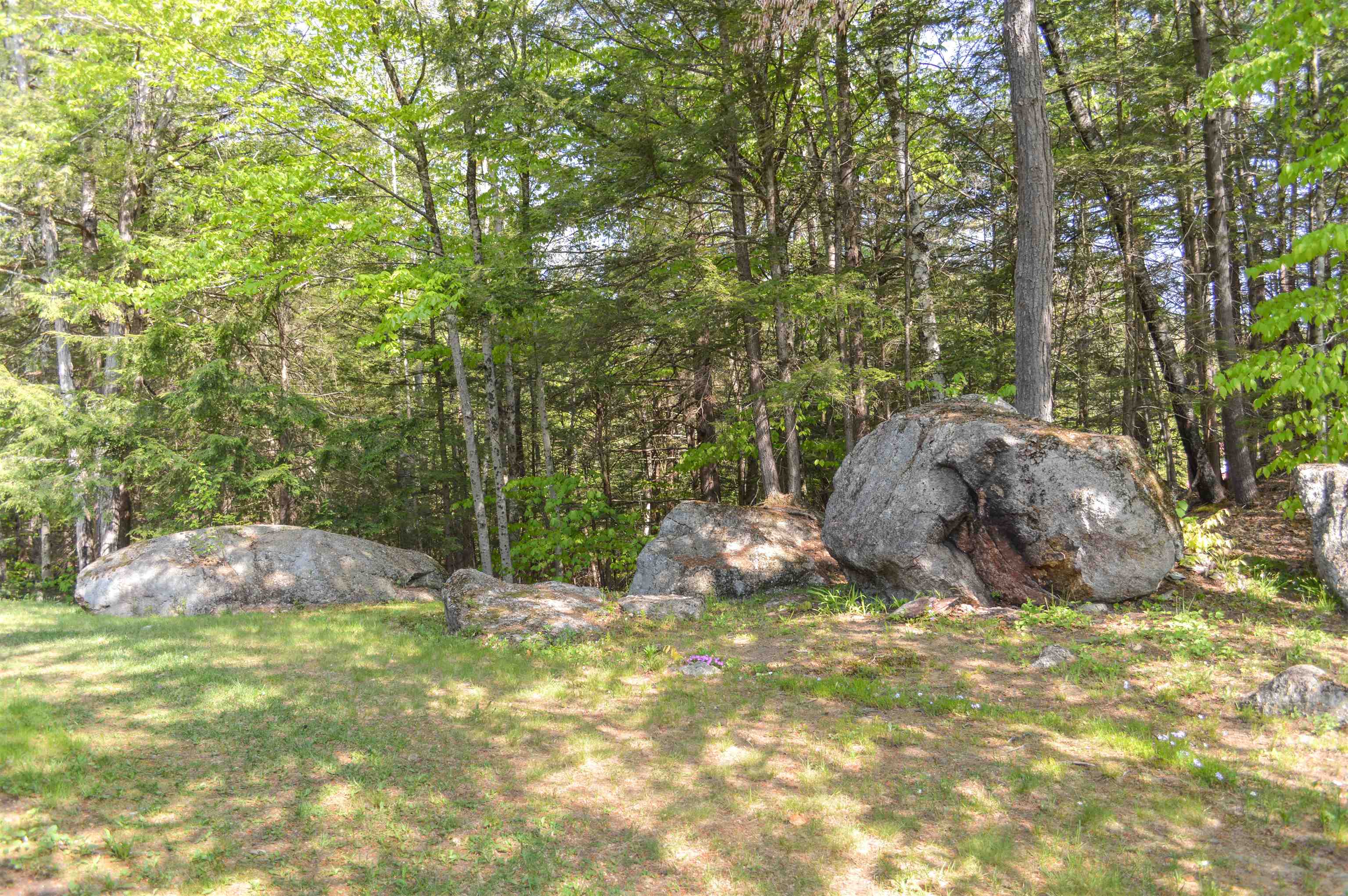 135 Shedd Hill Road Stoddard, NH 03464 - Photo 34 of 36
