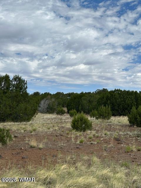N3109 Rd Vernon Az 85940 Road Vernon, AZ 85940 - Photo 6 of 17