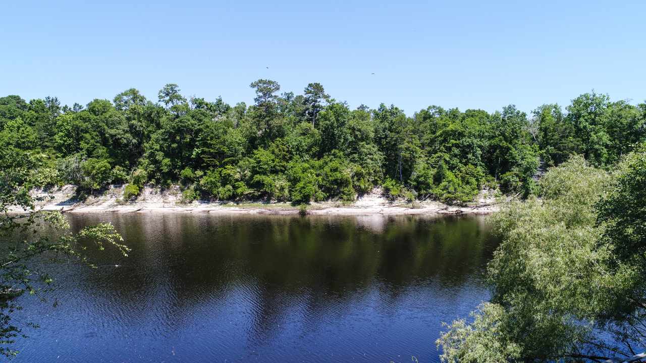 4806 Crooked Road Tallahassee, FL 32310 - Photo 4 of 36 Gallery Image 4