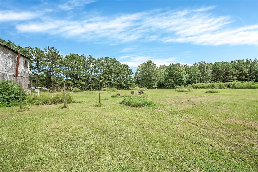 368 Sneed Road Waskom, TX 75692 - Photo 14 of 16 a view of a field with a tree in the background