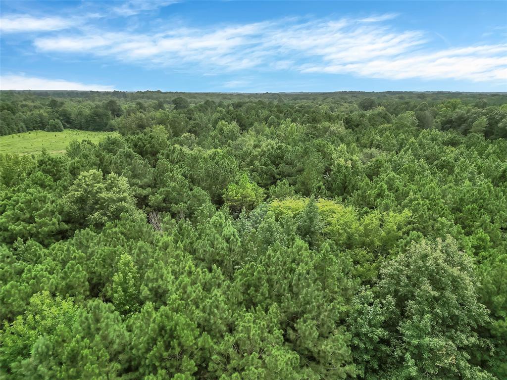 368 Sneed Road Waskom, TX 75692 - Photo 5 of 16 a view of a city and lush green forest