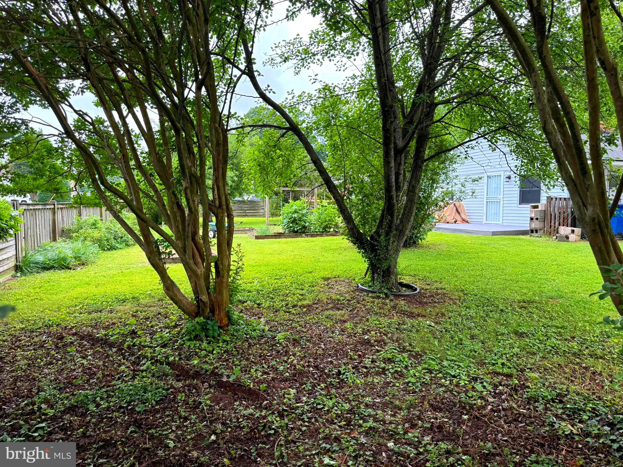 7200 Highland Street Springfield, VA 22150 - Photo 26 of 29 a view of a yard with a large trees