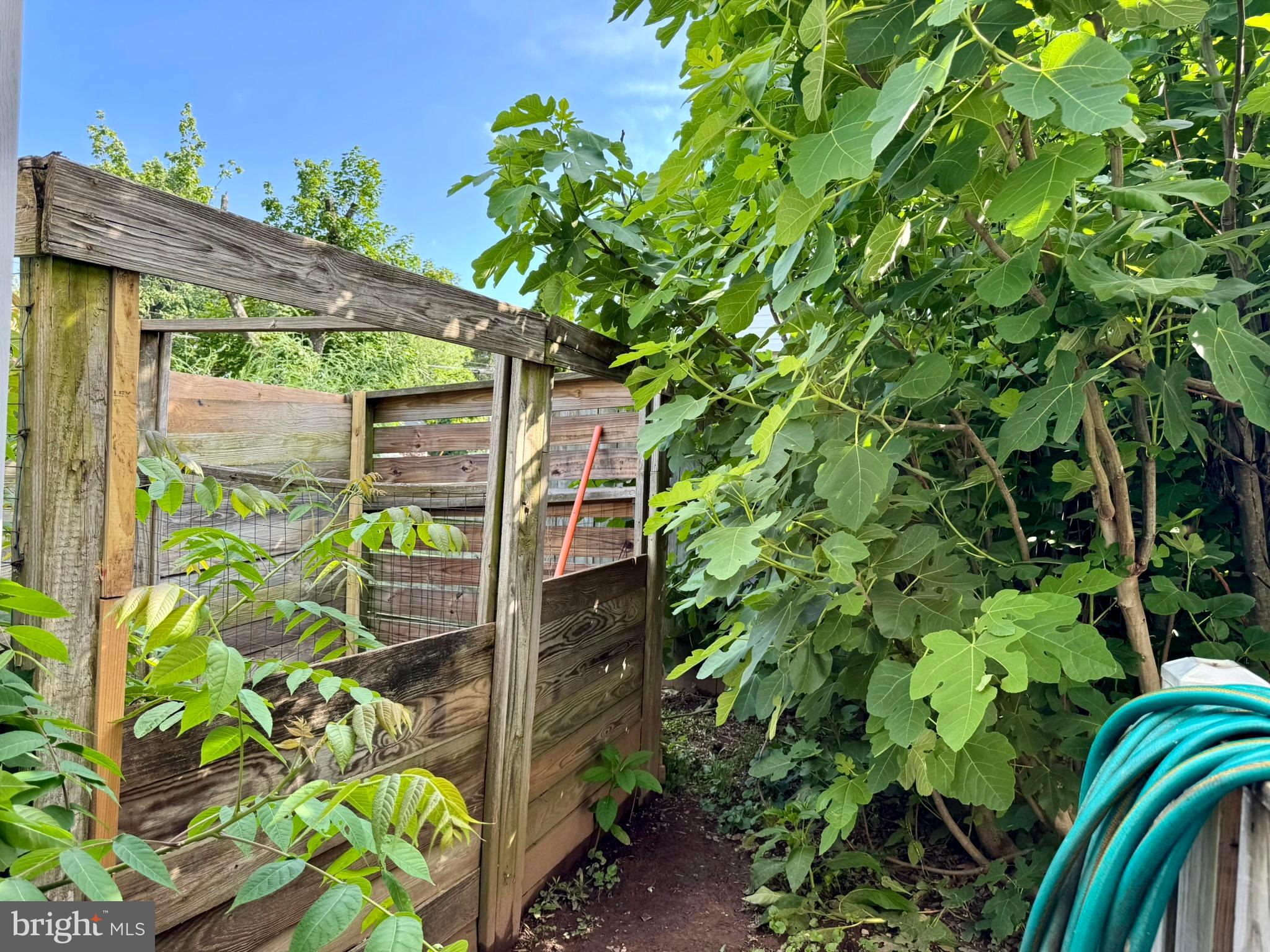 7200 Highland Street Springfield, VA 22150 - Photo 27 of 29 a backyard of a house with lots of green space