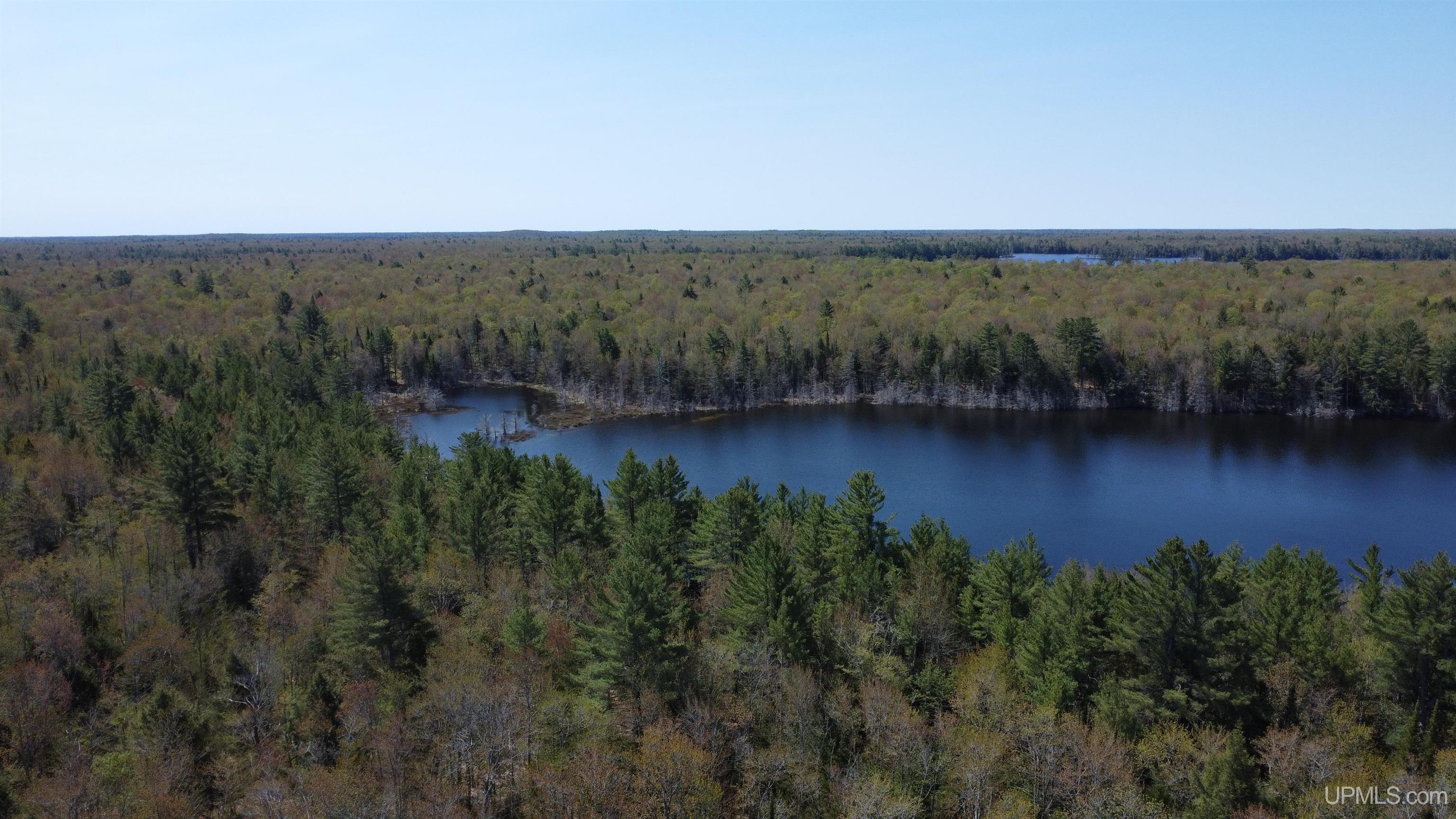 Off Adams Trail Shingleton, MI 49884 - Photo 21 of 46