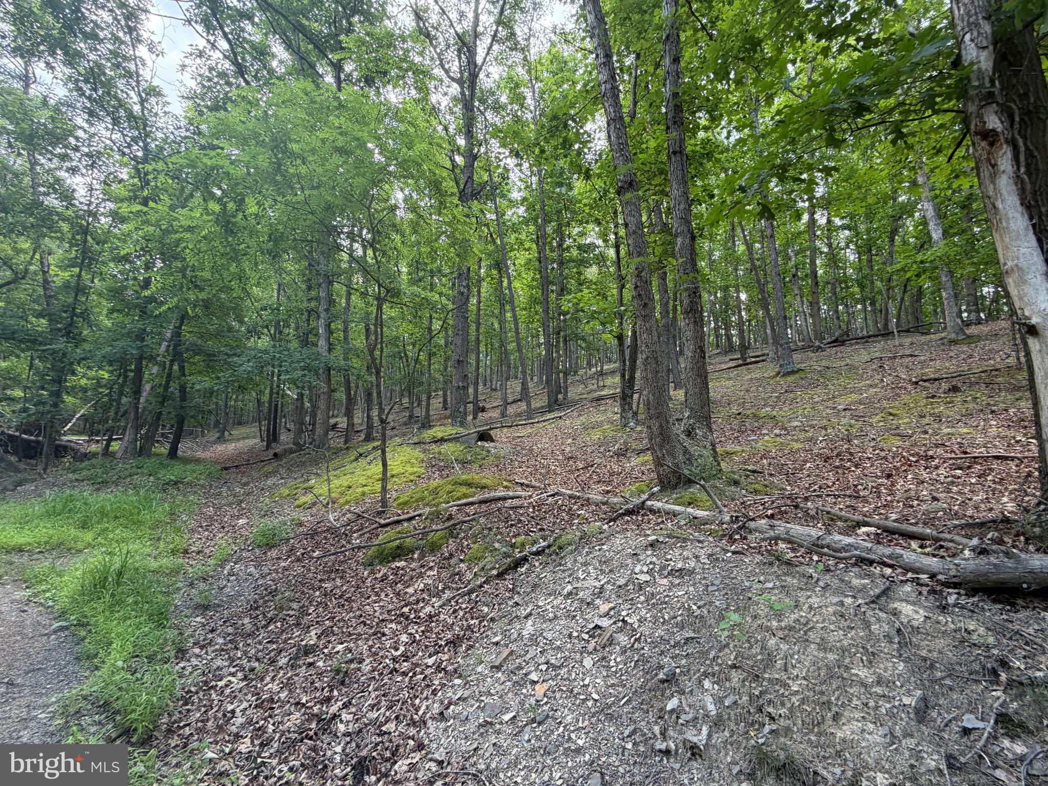 0 Headsville Road Keyser, WV 26726 - Photo 17 of 24