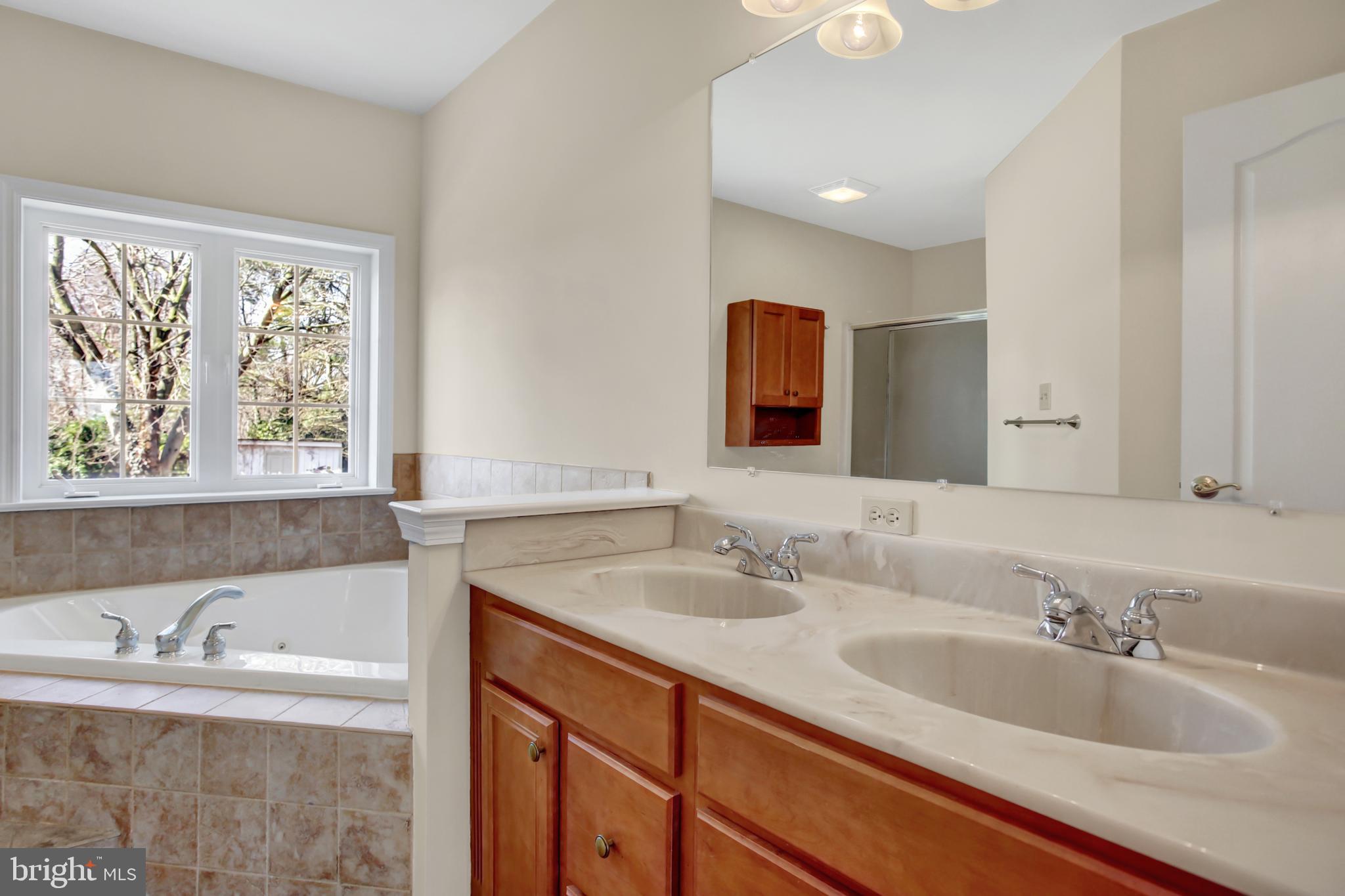 430 Sawmill Road New Providence, PA 17560 - Photo 9 of 36 Primary Bathroom with Soaking Tub