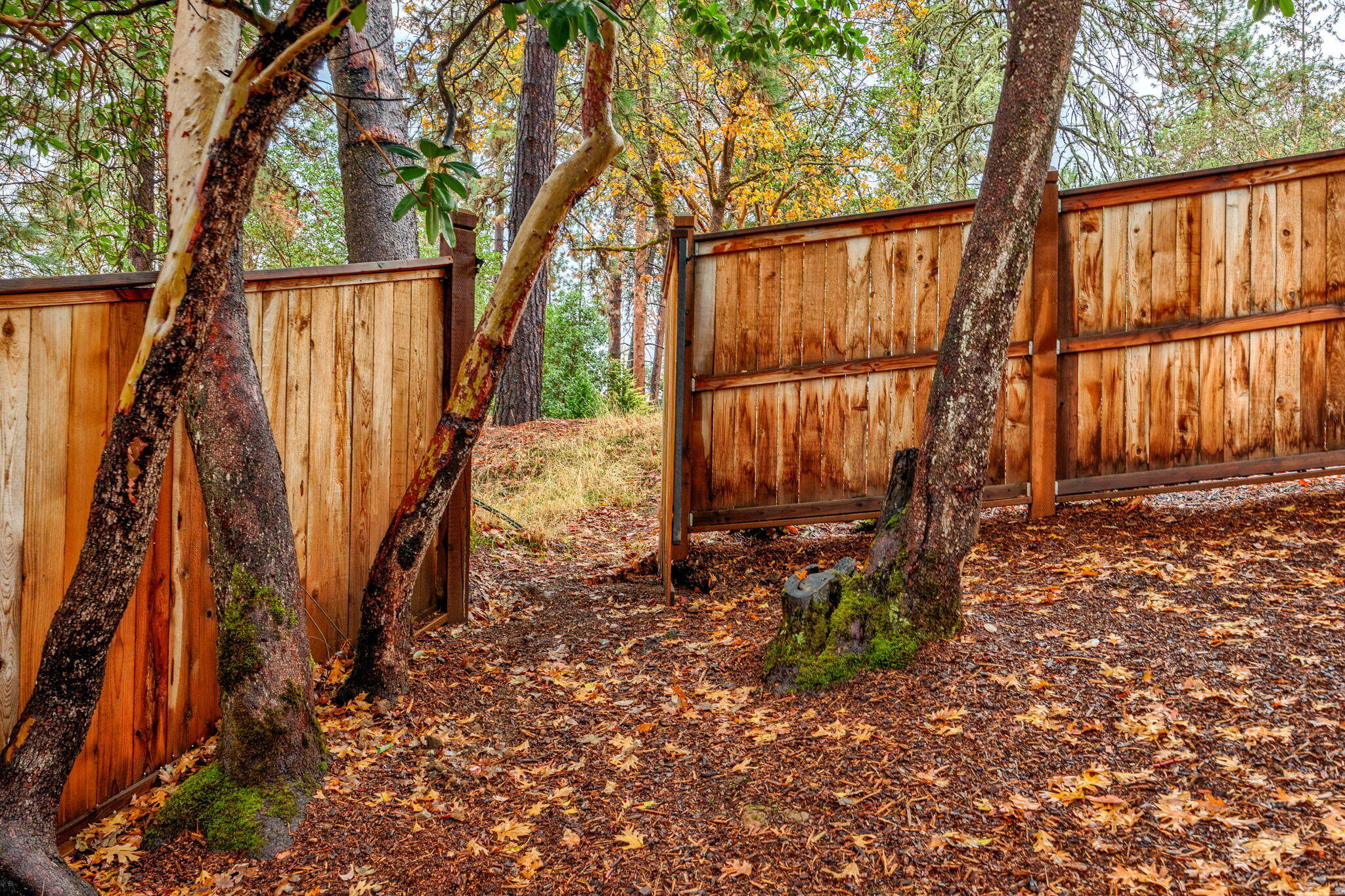 530 South Loop Road Jacksonville, OR 97530 - Photo 11 of 58 ApxSLR (15)
