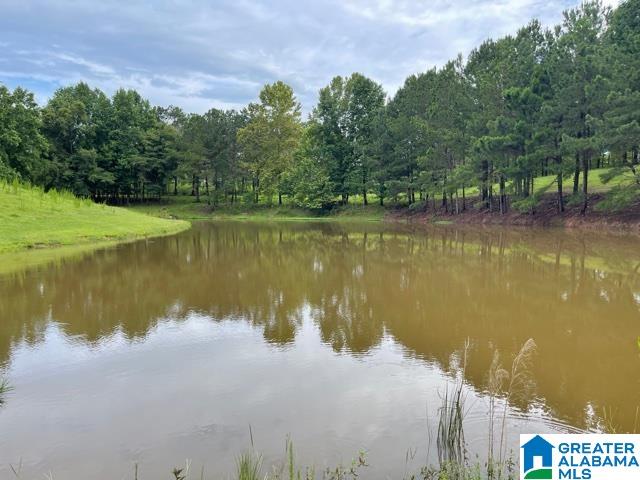 2829 Leander Road Daviston, AL 36256 - Photo 10 of 20