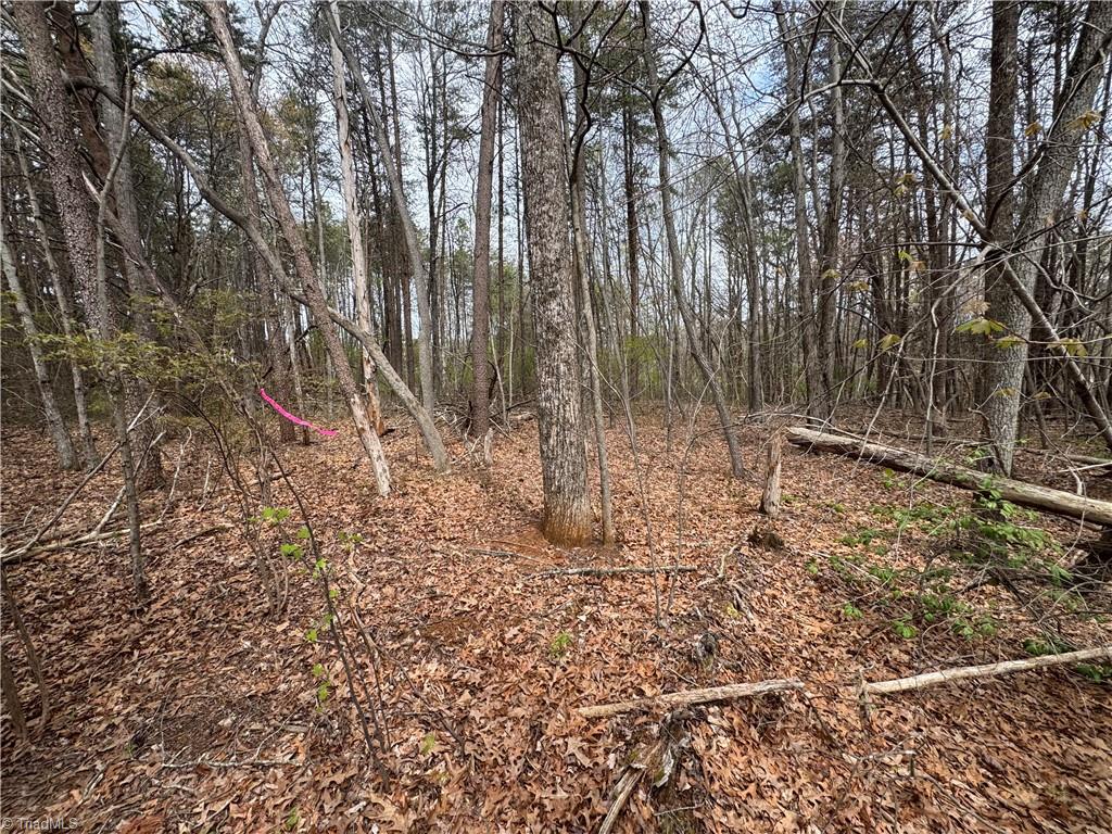 0 Brims Grove Road Pinnacle, NC 27043 - Photo 8 of 10